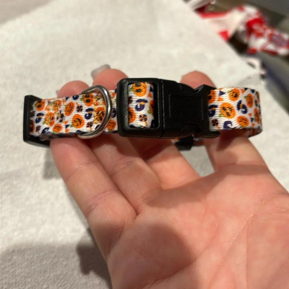 Halloween Dog or cat collar